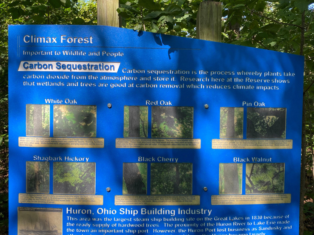 Old Woman Creek State Nature Preserve-Huron必去景点