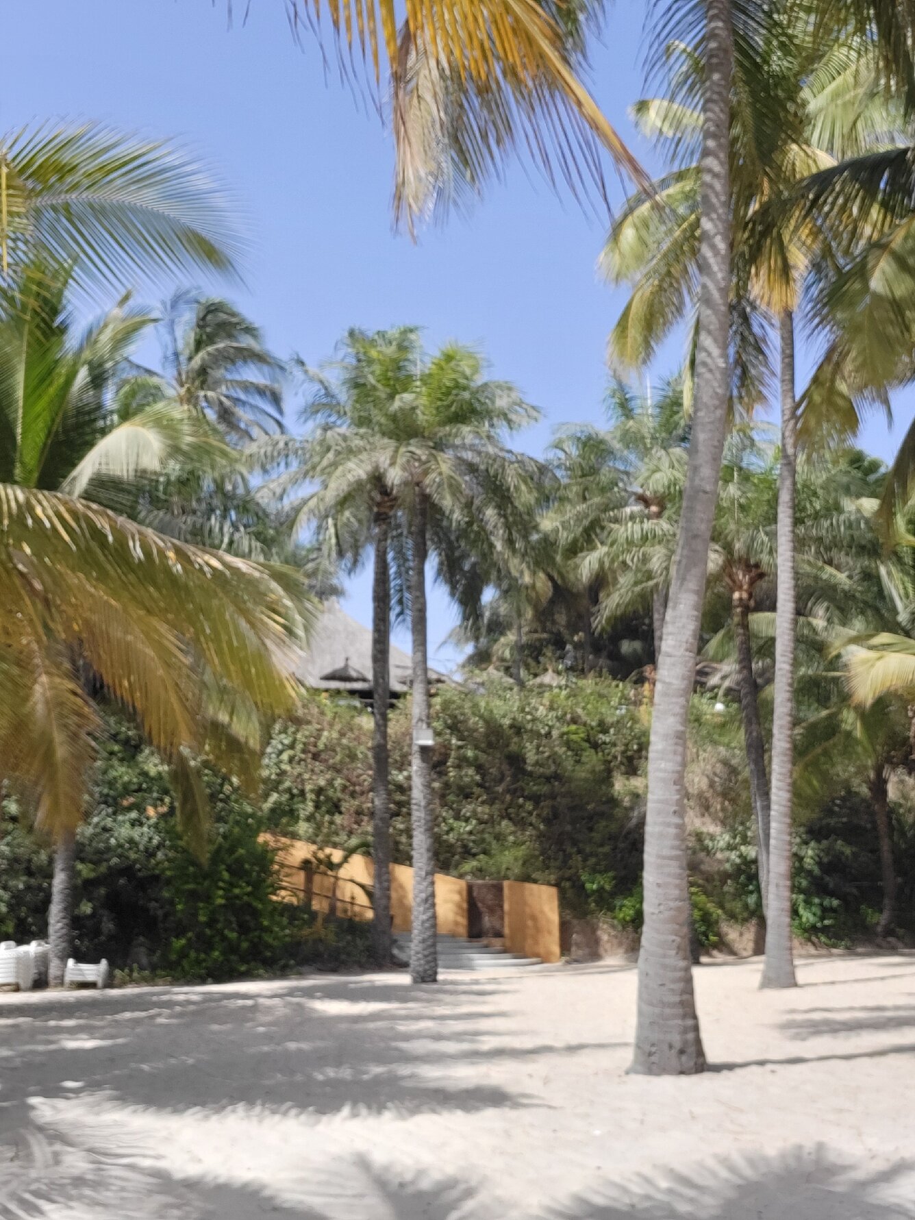 La Paillote Village Hotel-官方
