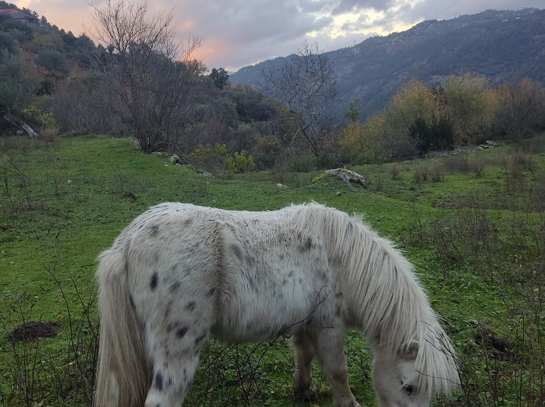 Quinta Do Luar-null必去景点