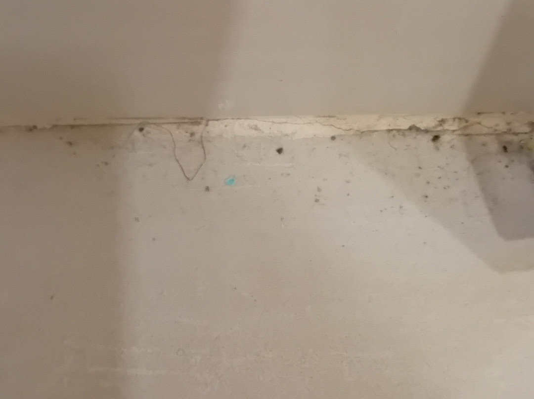 Hotel Panorama主图