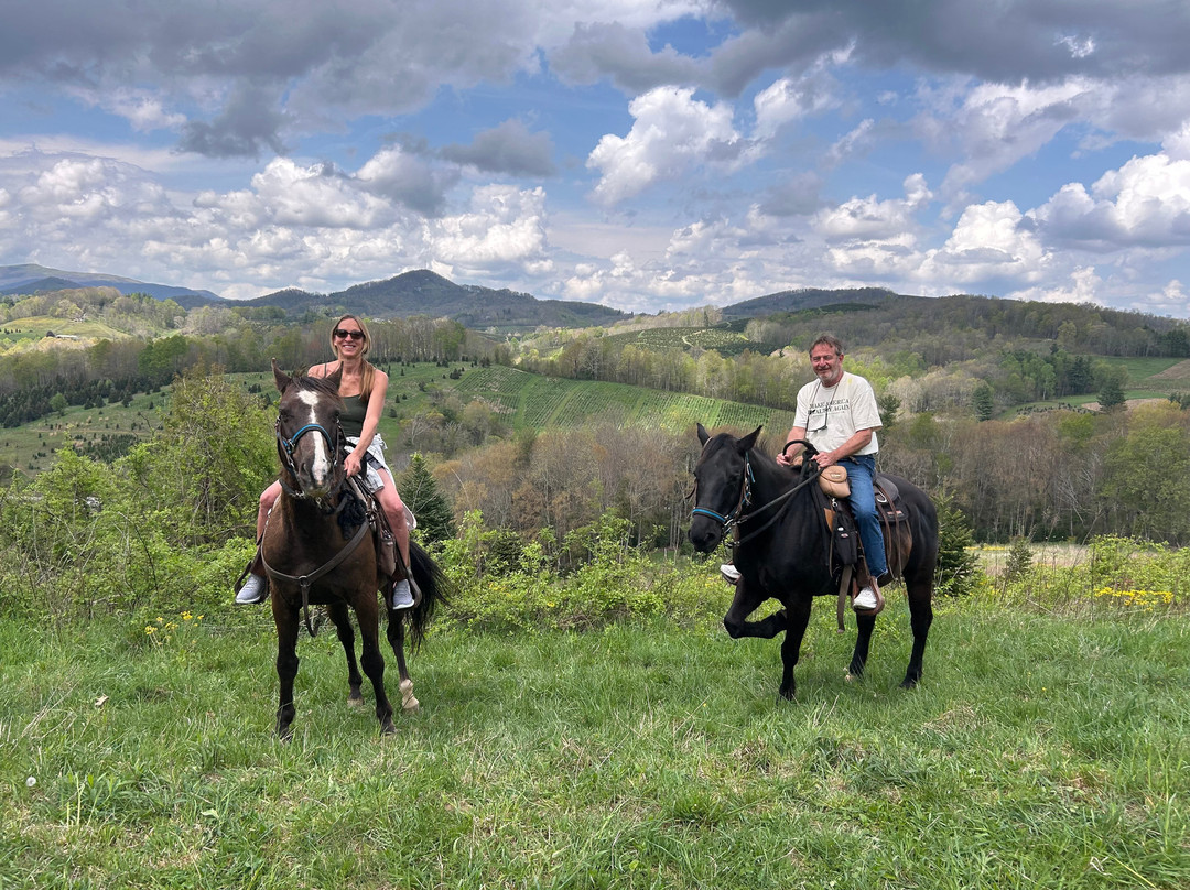 Elk Mountain Riding Company-Newland必去景点