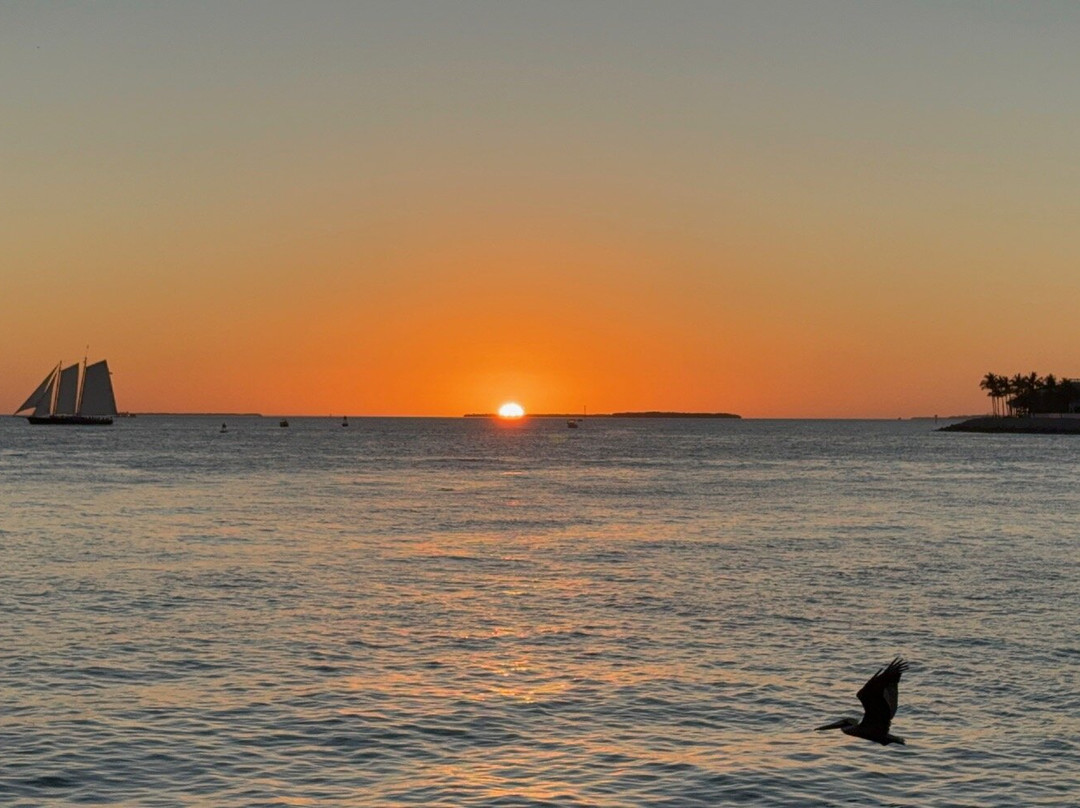 Sunset Celebration-基韦斯特必去景点
