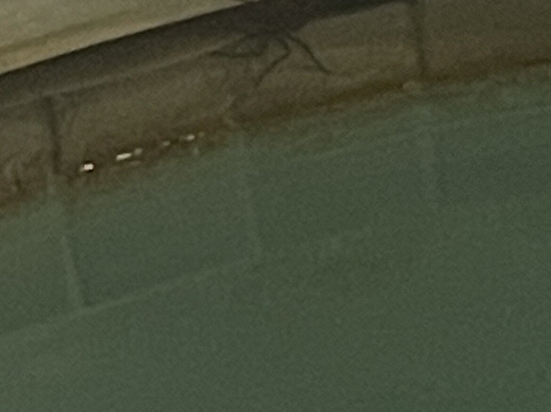 Paradise Stream Resort主图