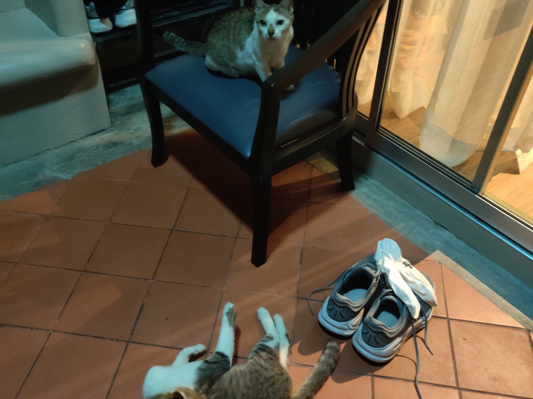 普吉印章度假别墅主图