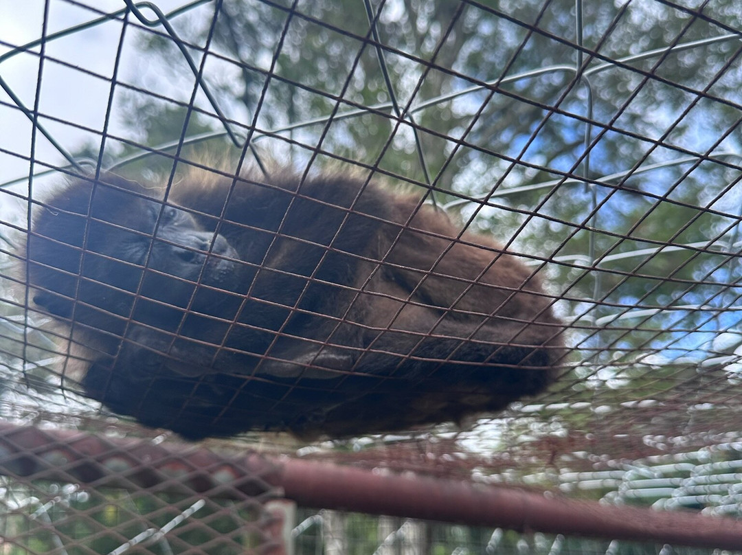 Jungla de Panama Wildlife Refuge景点图片