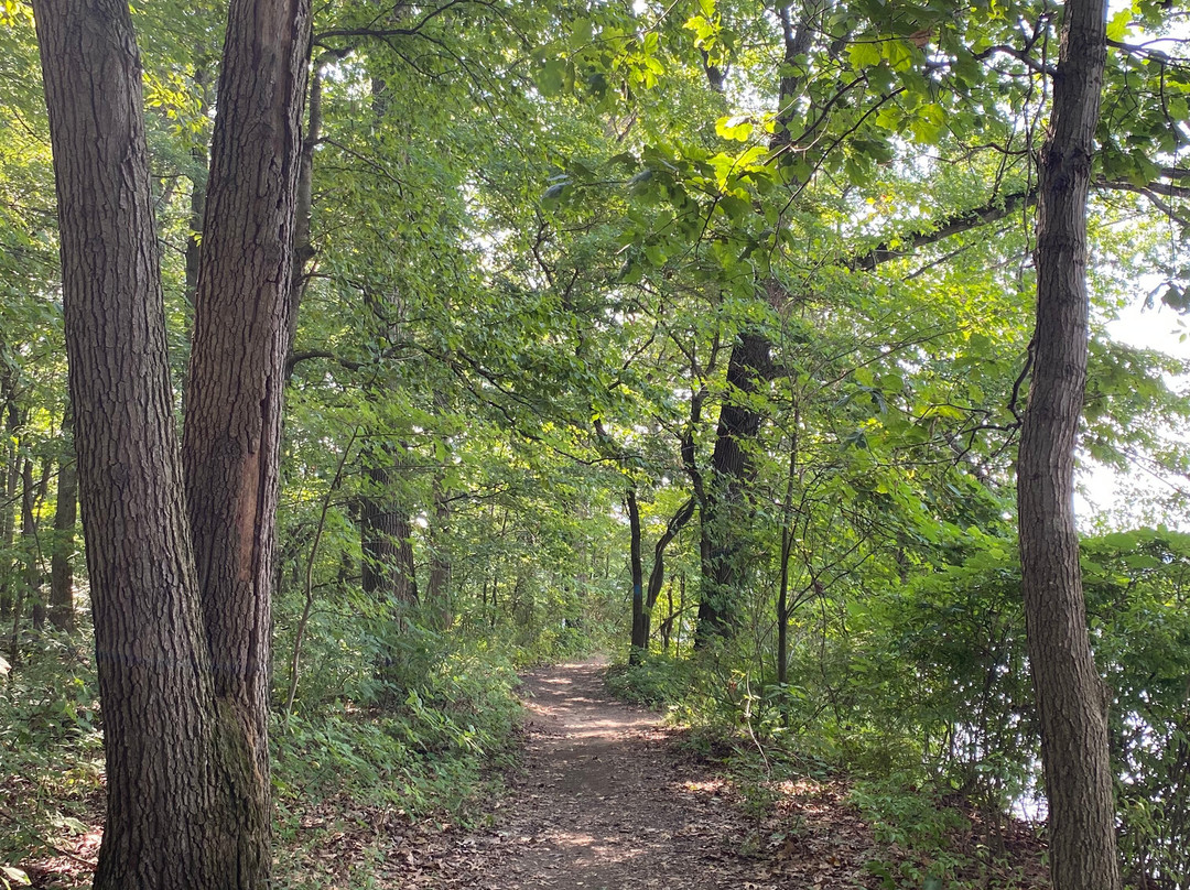 Portage Lakes State Park-阿克伦必去景点