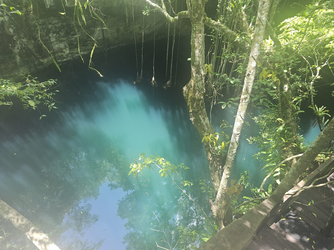 Experiencia Privada en Cenote Exclusivo景点图片