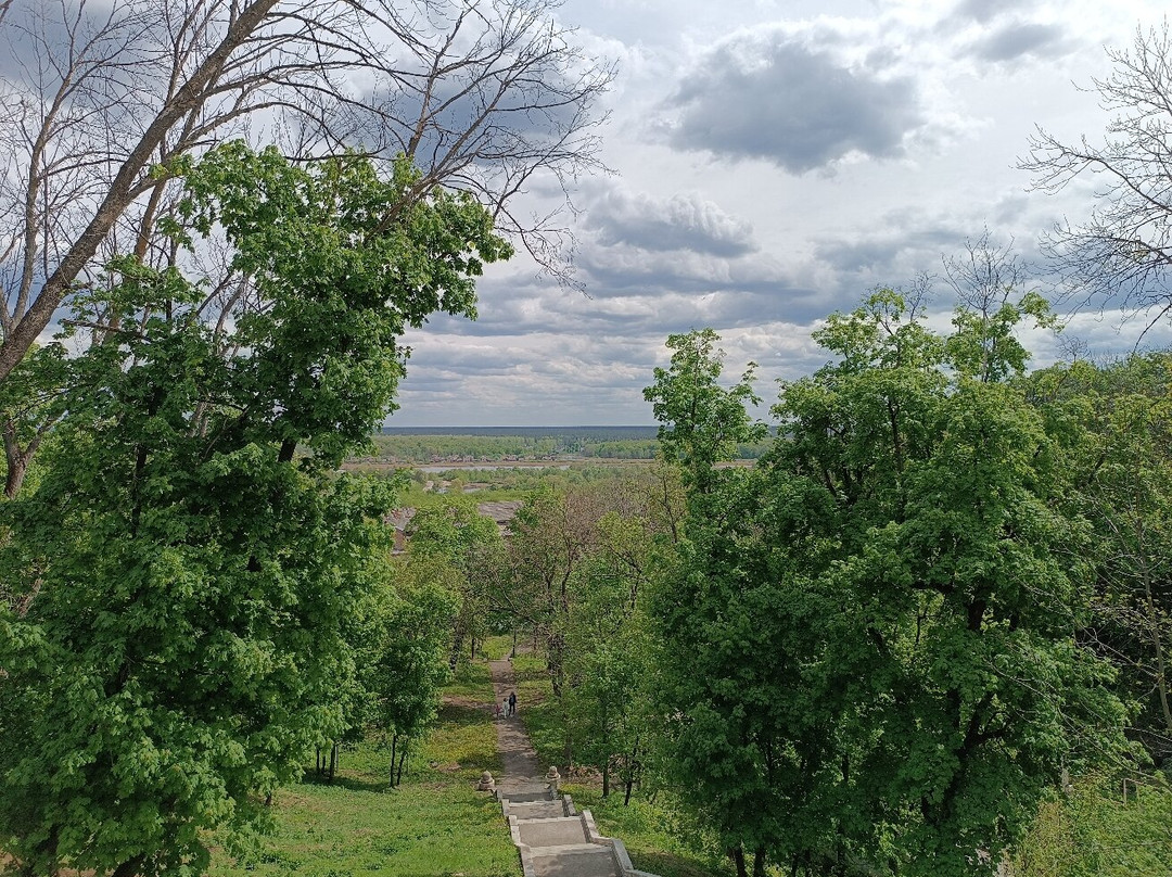 Olgino Estate景点图片