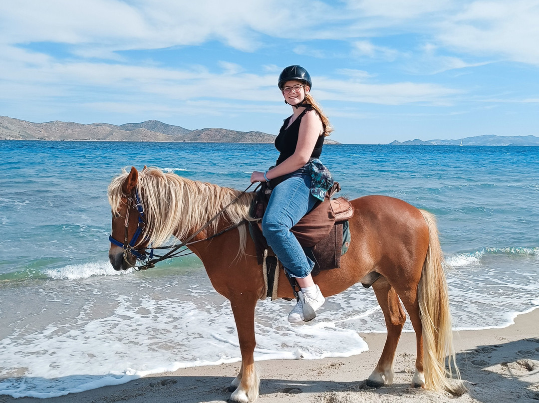 Horse Riding Family Farm-Kos Town必去景点