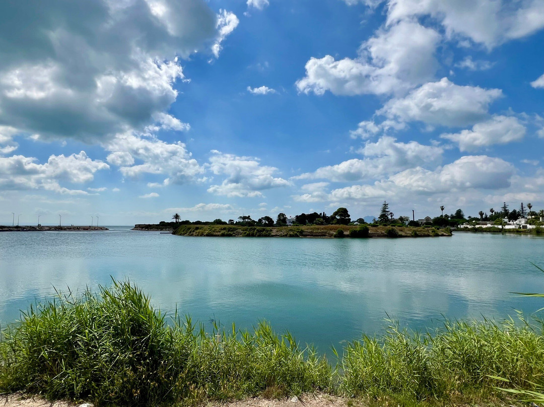 Les Ports Puniques de Carthage