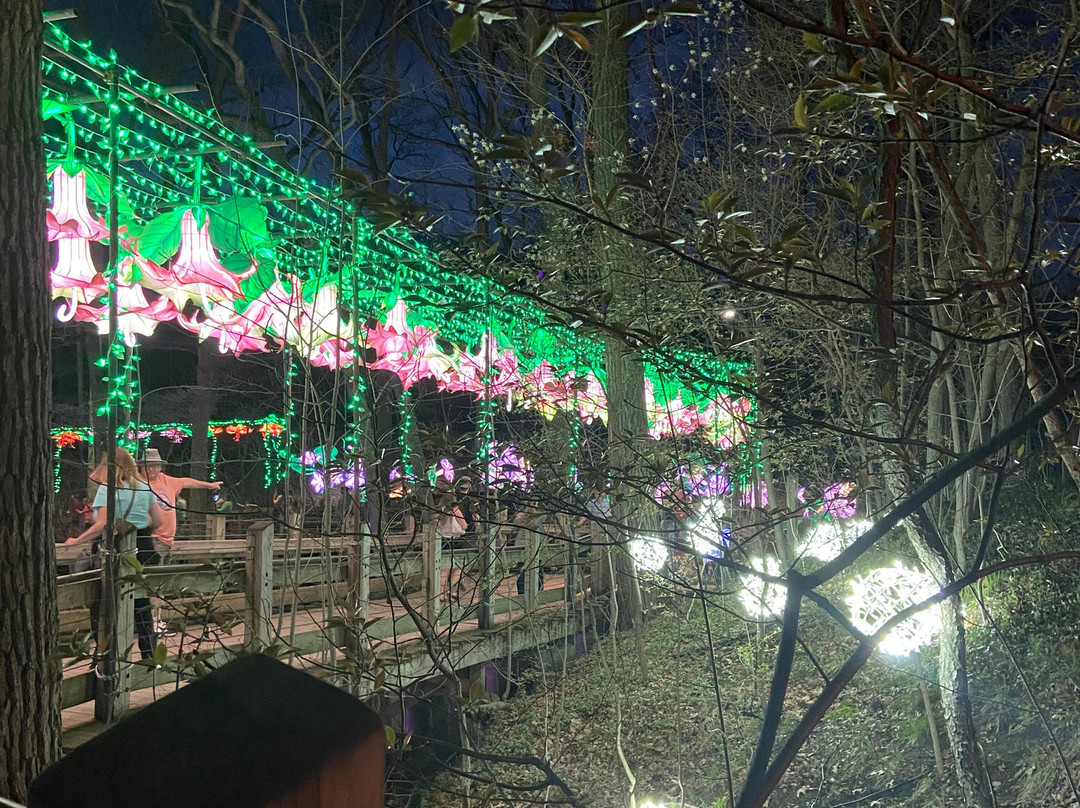 John Ball Zoo-大急流市必去景点