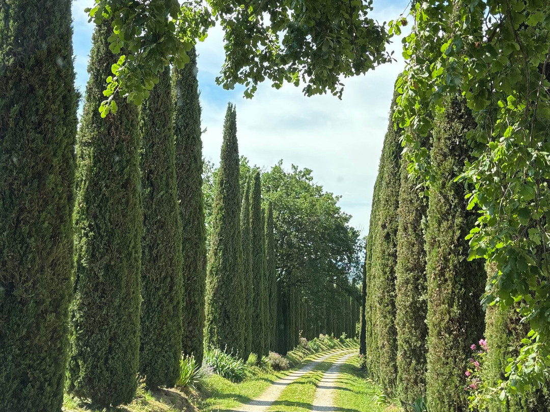 Agriturismo Podere La Villetta主图
