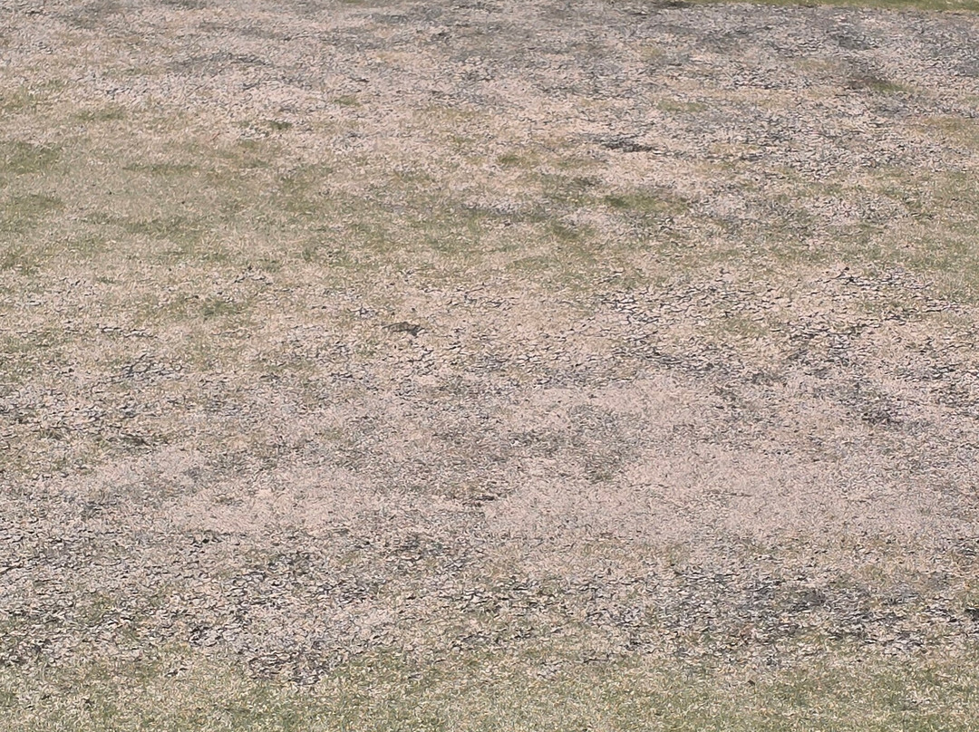 Lion's Paw Golf Links景点图片