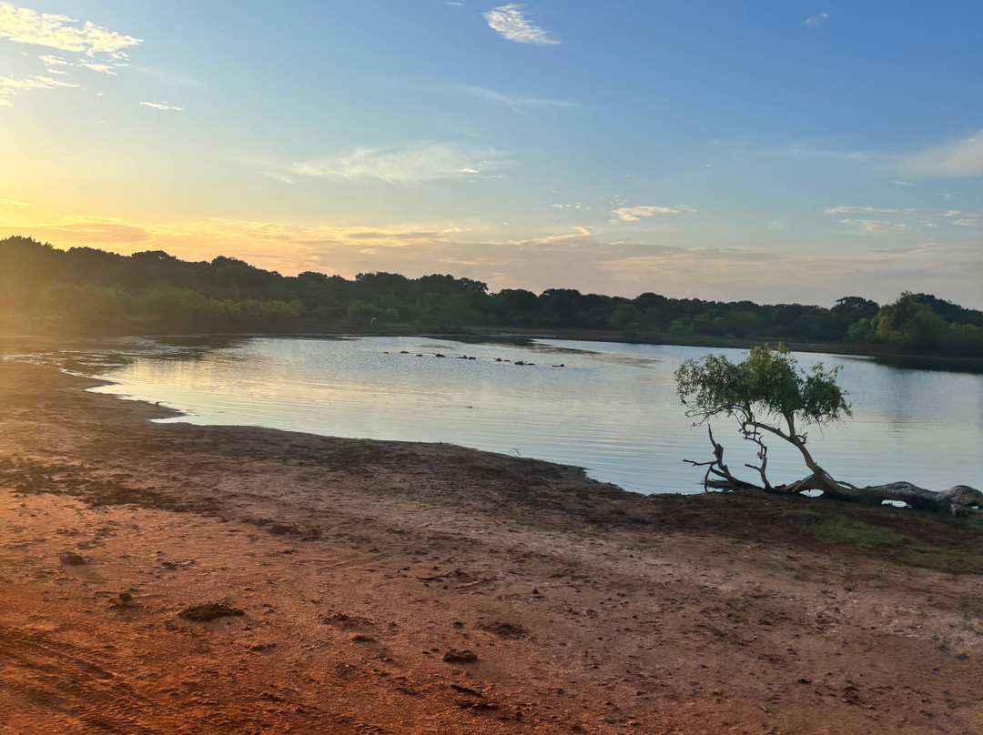 Ajith吉普车游猎之旅-蒂瑟默哈拉默必去景点