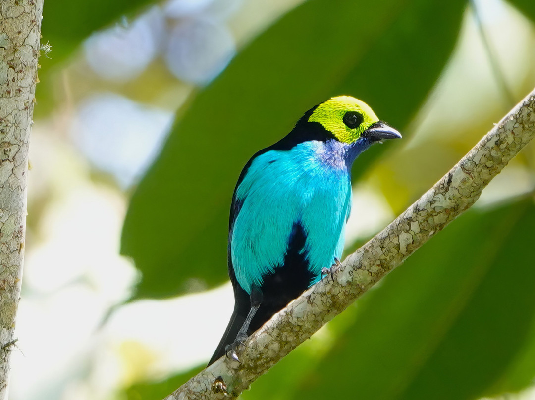 Ikam Expeditions-Moyobamba必去景点