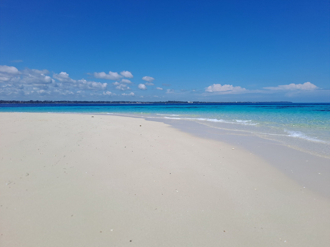 Bookings Central Tours & Safari-Tunguu必去景点