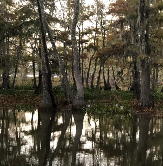 Magnolia Ridge