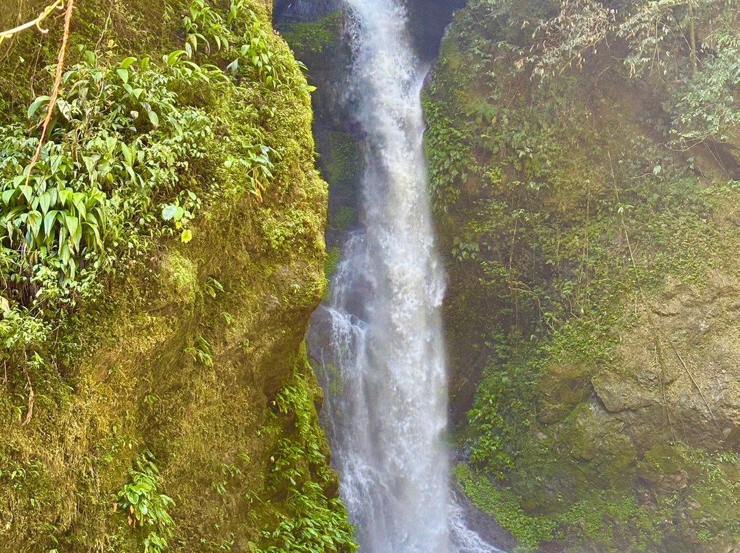 Ditumabo Mother Falls-巴莱尔必去景点