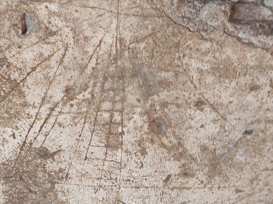 La Colombe-Tartane必去景点