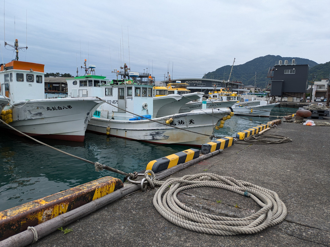 Mochimune Fishing Port-静冈市必去景点