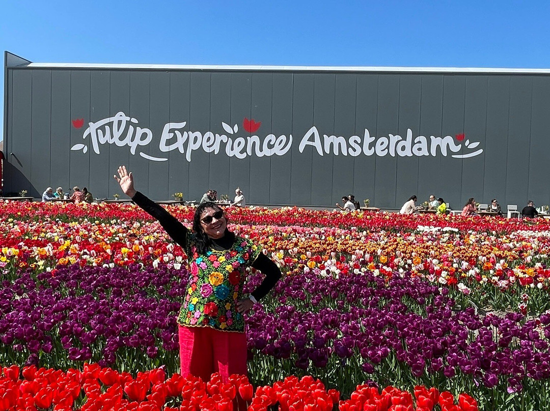 Tulip Experience Amsterdam景点图片