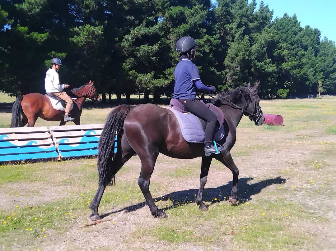 Rolleston Horse Riding Centre-基督城必去景点