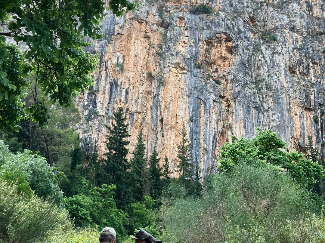 Greece Bird Tours-Marathon必去景点