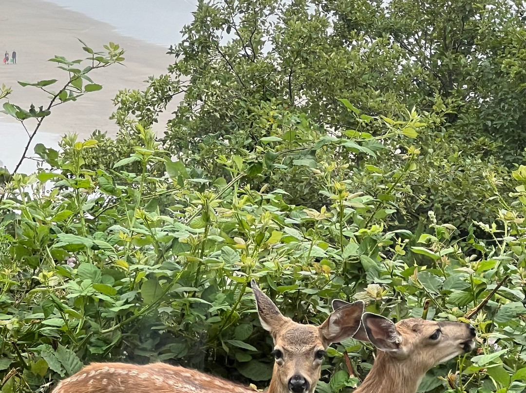 The Awtrey House主图