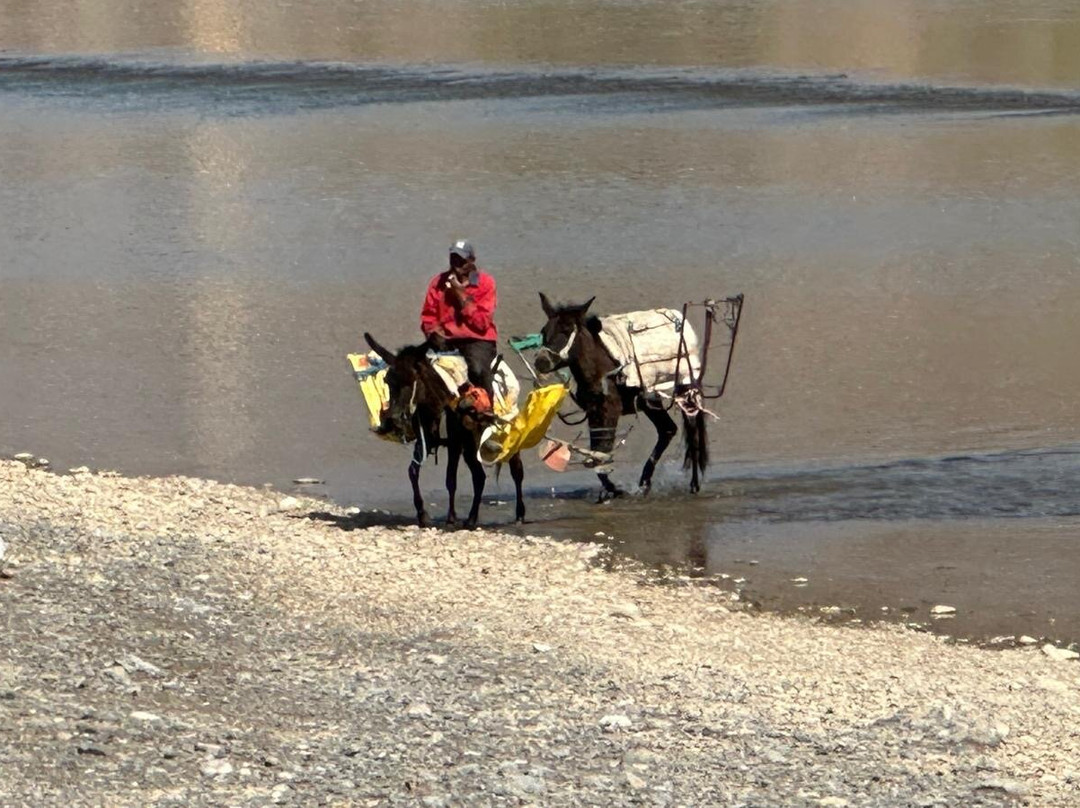 Mhamid Voyages-迈哈米德必去景点