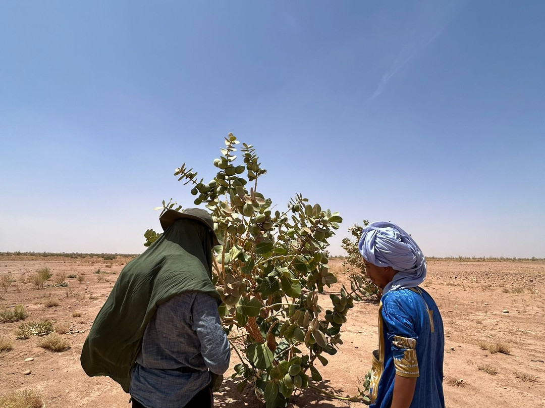 My Sahara Trek-迈哈米德必去景点