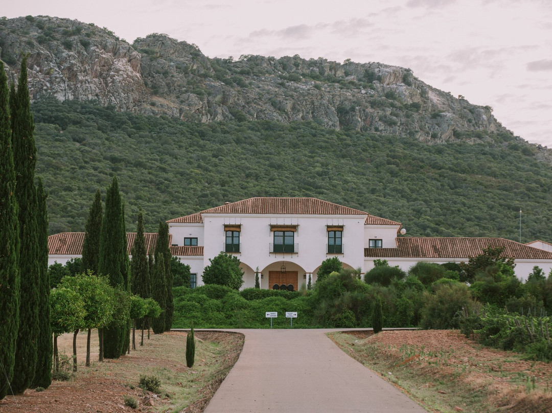 Valdealto Winery-梅里达必去景点