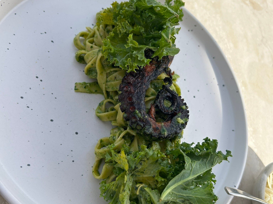 Viña Casas del Bosque-卡萨布兰卡必去景点