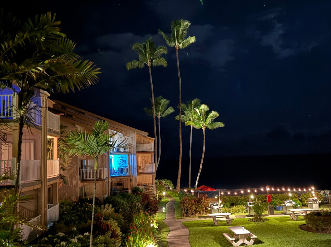 海洋村度假村主图