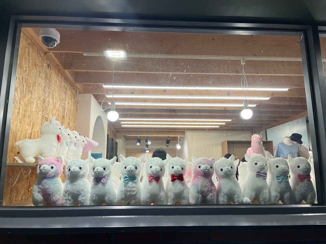 Alpaca World-洪川郡必去景点