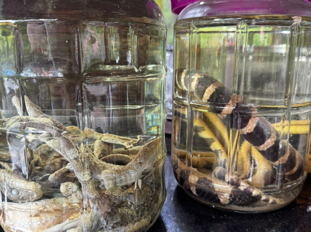 Halong Bay Cruises-下龙湾必去景点