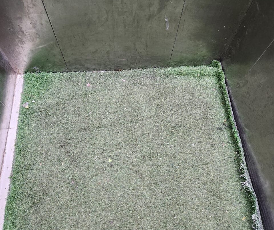 Hotel Rameswaram Grand主图