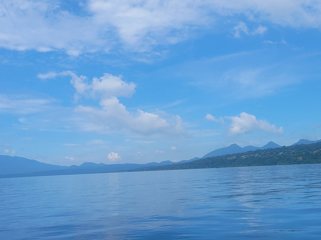Snorkeling Menjangan景点图片