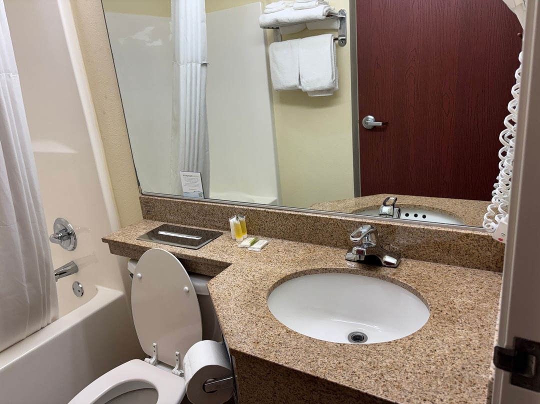 Microtel Inn & Suites by Wyndham Indianapolis Airport主图