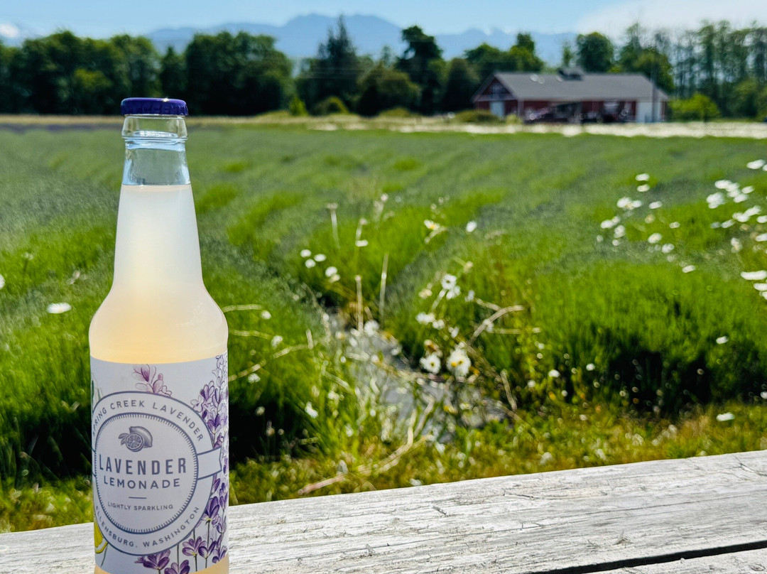 B & B Family Lavender Farm-塞奎姆必去景点