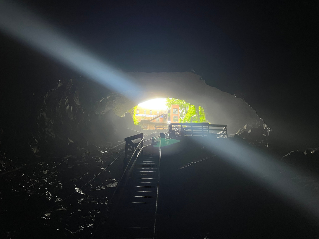 Hidden River Cave and American Cave Museum景点图片