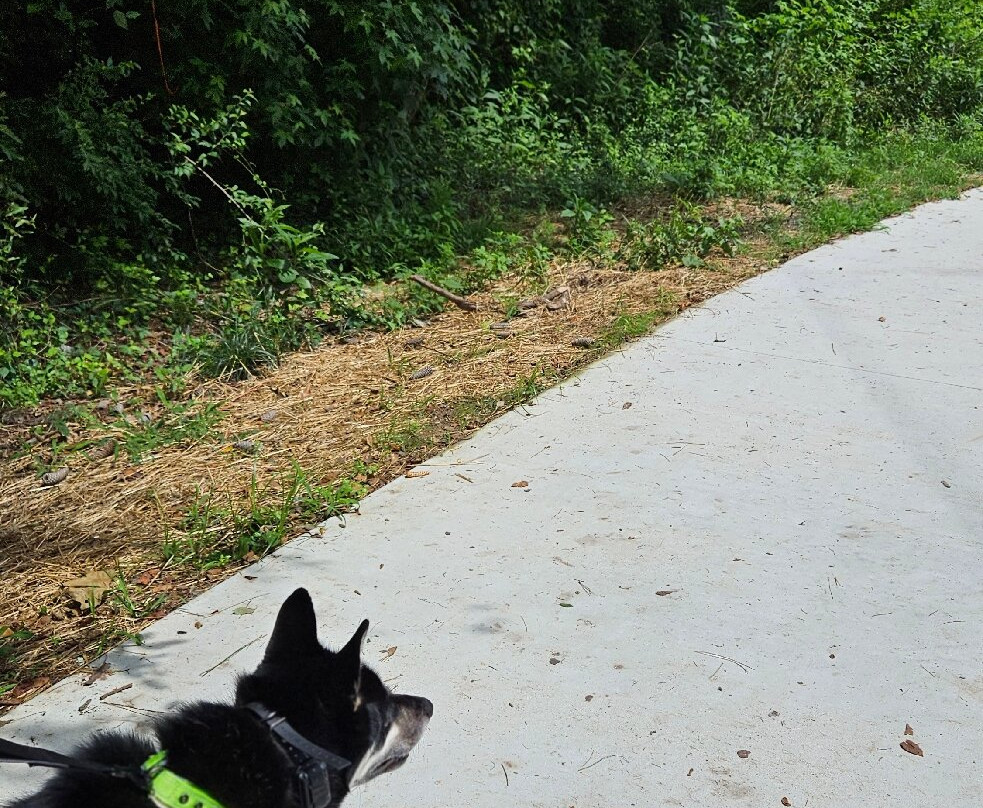 Chattahoochee River National Recreation Area-桑迪斯普林斯必去景点