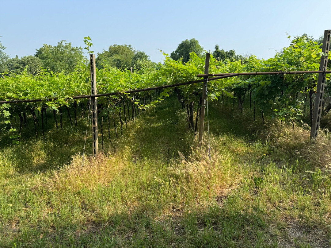 Relais Des Roches主图