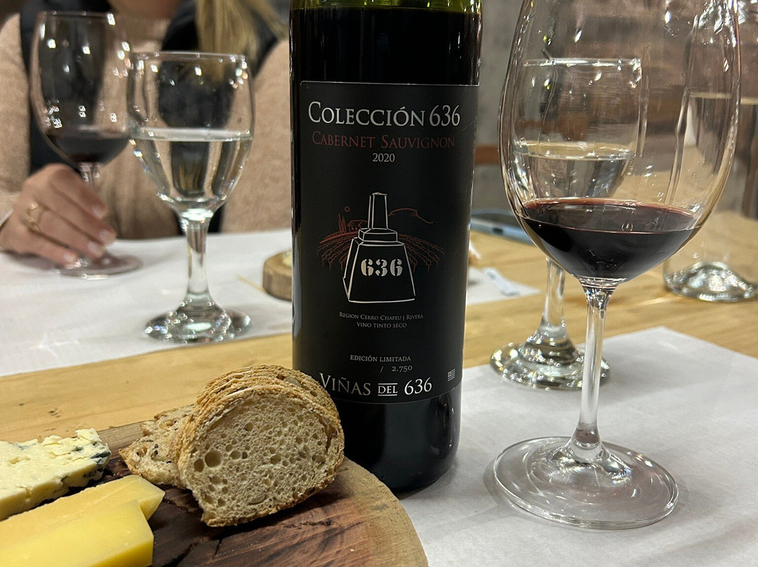 Bodega 636-Rivera必去景点