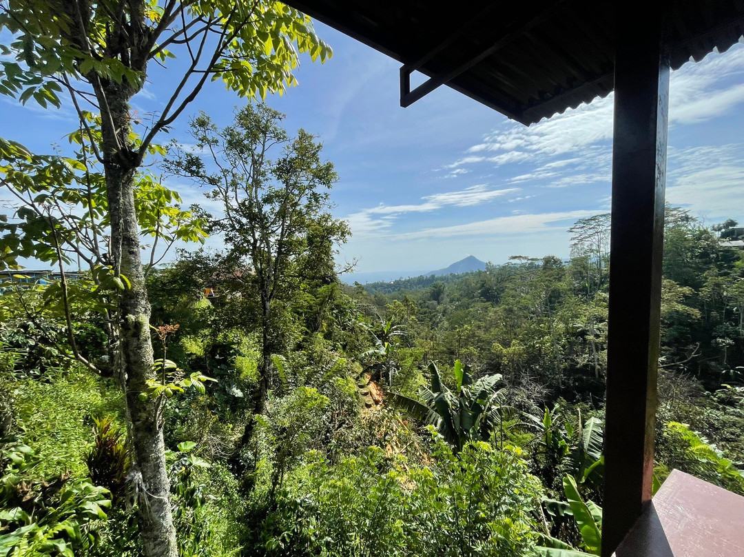 Wanagiri Coffee Plantation Bali And Luwak Coffee