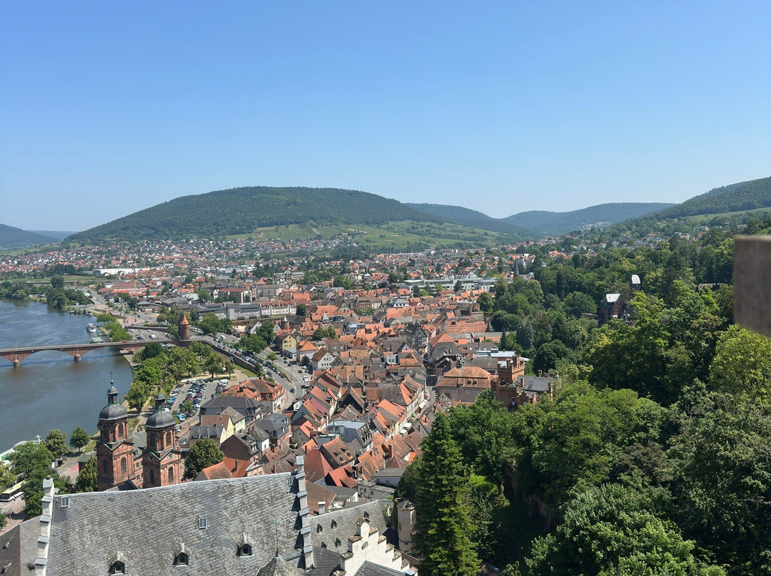 Miltenberg Castle Museum-米尔腾贝格必去景点