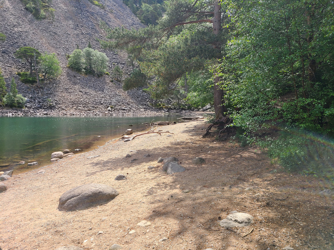 An Lochan Uaine-阿维莫尔必去景点