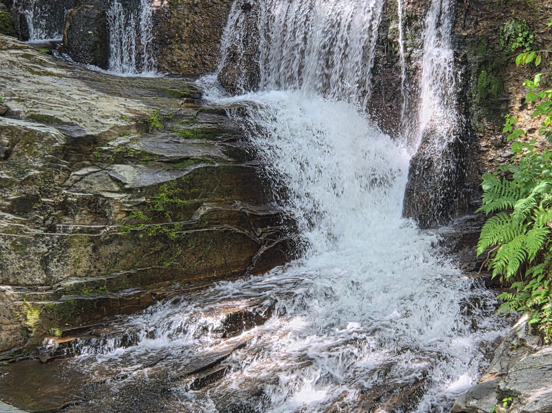 Catawba Falls-Old Fort必去景点