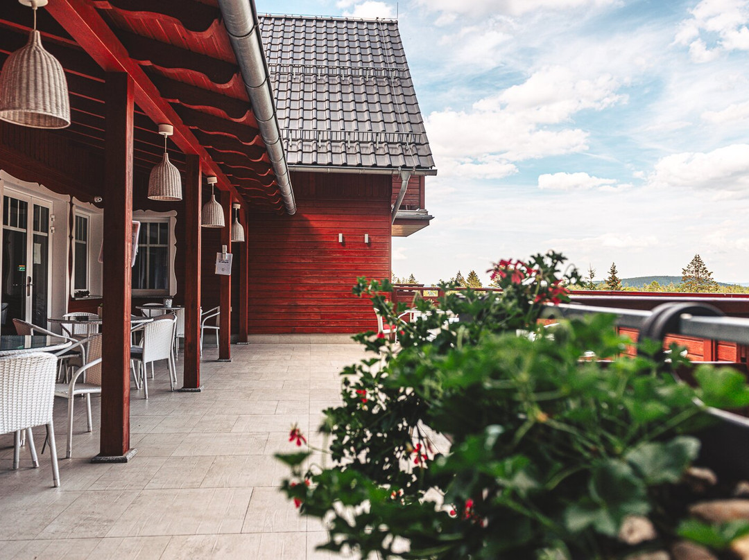 Hotel Willa Odkrywcow主图