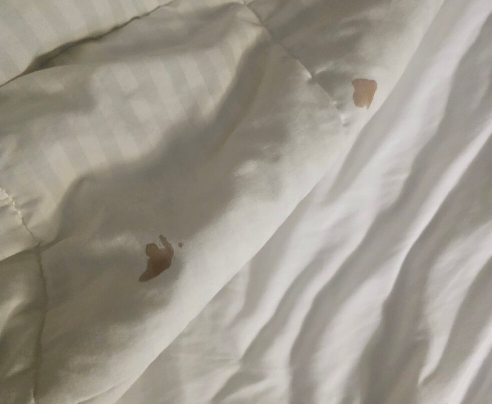 Chester Inn & Suites主图