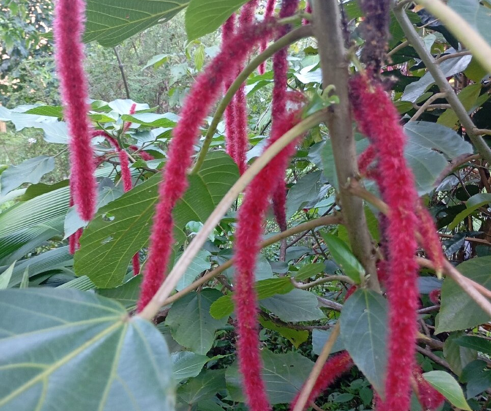 Malou Et Son Verger-Roura必去景点